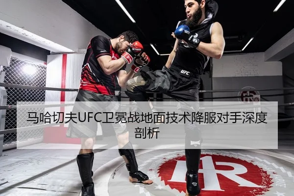 马哈切夫UFC卫冕战地面技术降服对手深度剖析