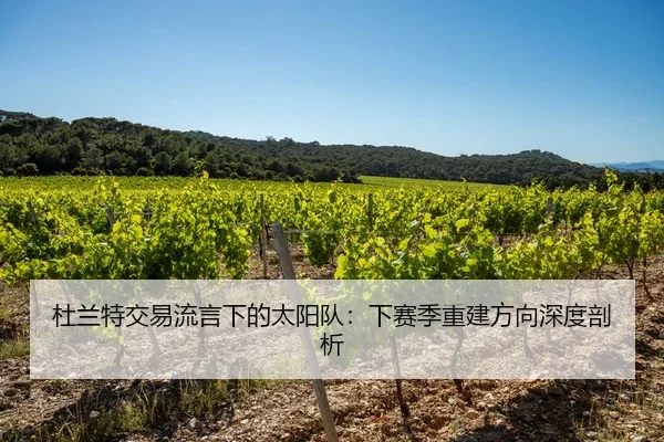 杜兰特交易流言下的太阳队：下赛季重建方向深度剖析