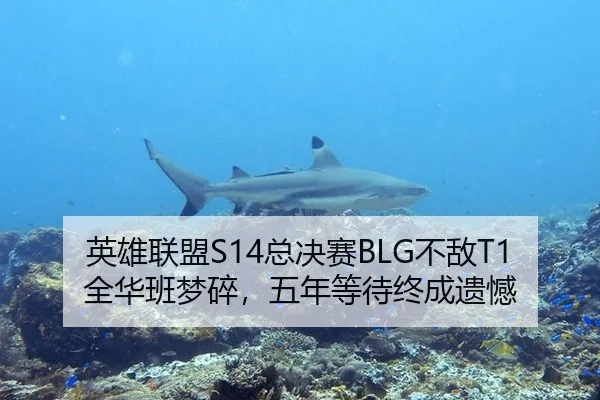 英雄联盟S14总决赛BLG不敌T1全华班梦碎，五年等待终成遗憾